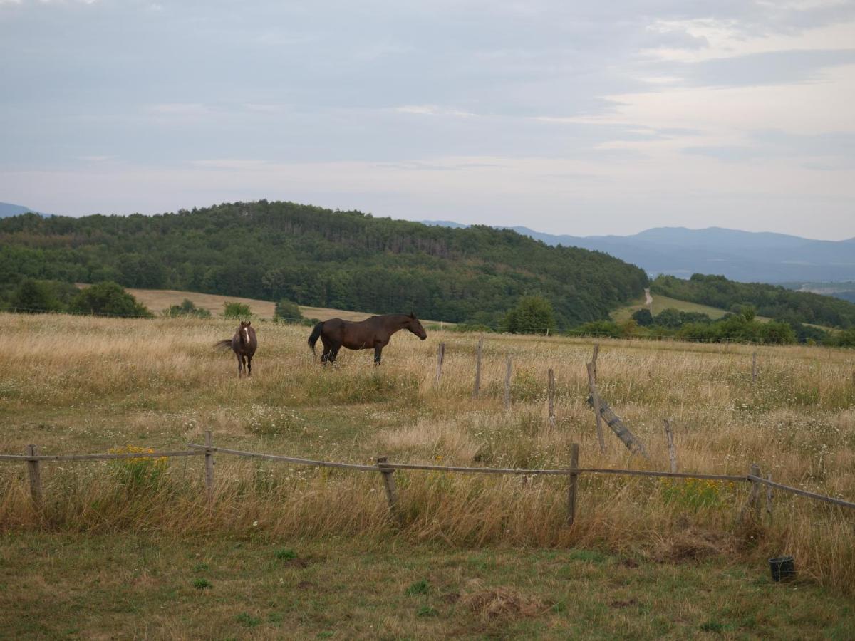 Selanka Off Road Hill View Hotel Moravske Lieskove Exterior photo